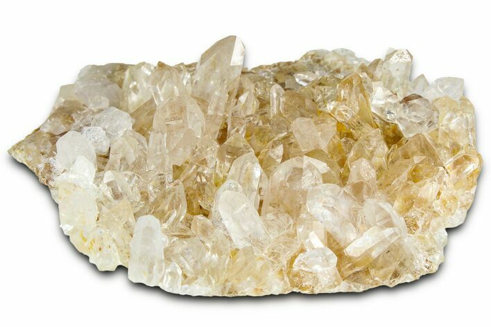 Quartz Crystal Cluster - Porter Claim, Washington #361316